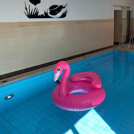 Huus Butterbeidiefische 11 Apartamento Wyk auf Föhr